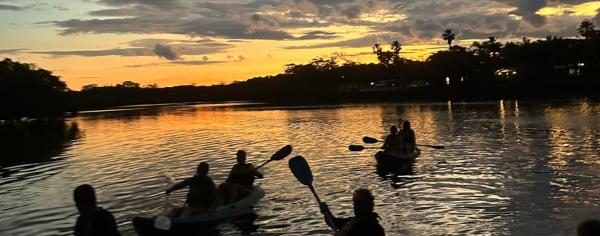 Kayakers along the mangroves at dusk on the Brunswick River