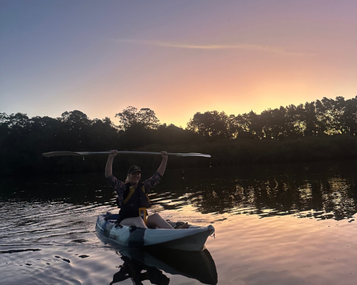 Rays gliding under the kayaks at dusk